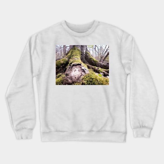 Mighty Tree Crewneck Sweatshirt by Quatern